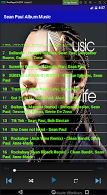 Image 1 for Sean Paul Album Music
