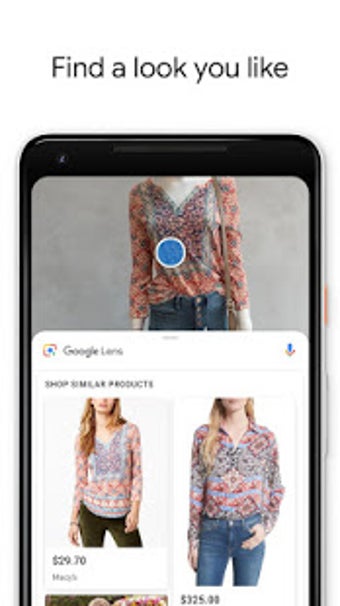 Image 0 for Google Lens
