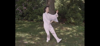 Image 2 for Tai Chi for Beginners 48 …