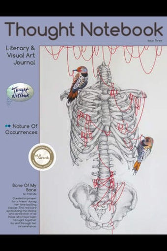 Imagen 0 para Thought Notebook Journal