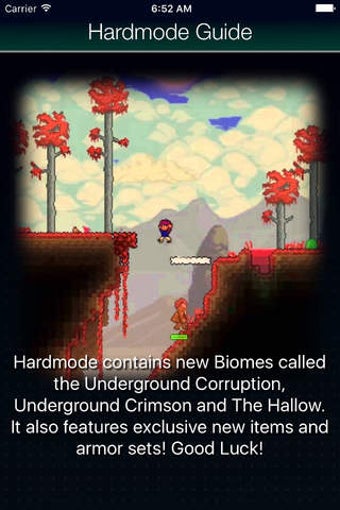 Imagen 2 para Mods for Terraria