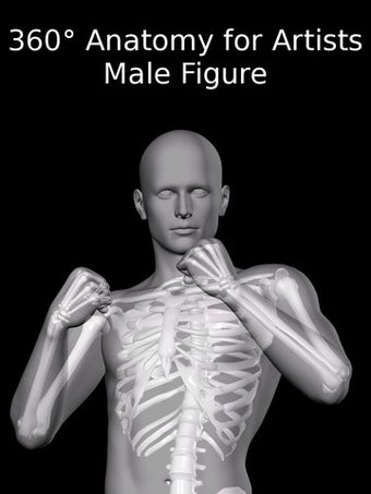 Image 0 for 360 Anatomy for Artists H…