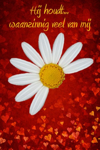 Image 0 for My Daisy