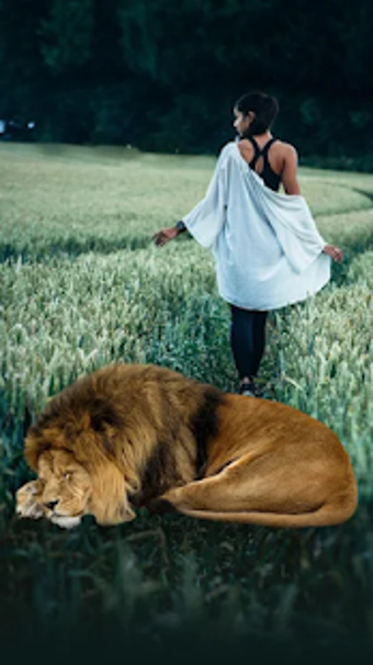 Imagen 3 para Wildlife Animal Camera Ph…