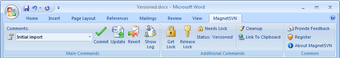 Image 0 for MagnetSVN Personal (32bit…