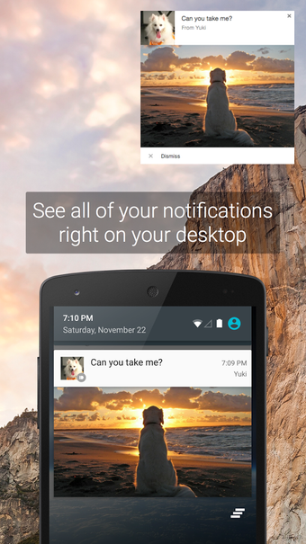Imagen 6 para PushBullet