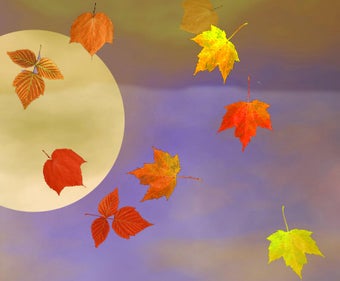 Image 0 for Unique 3D Falling Autumn …