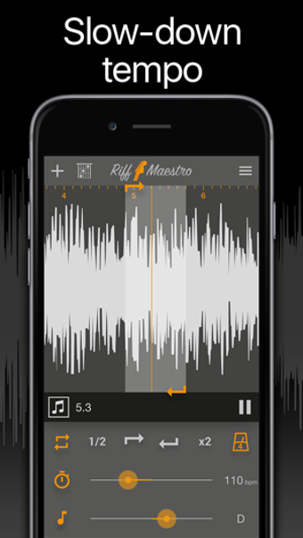 Image 3 for Riff Maestro