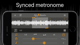 Image 2 for Riff Maestro