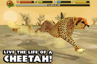 Image 0 for Cheetah Simulator