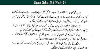 Image 0 for Best Urdu Novel by Nimra …