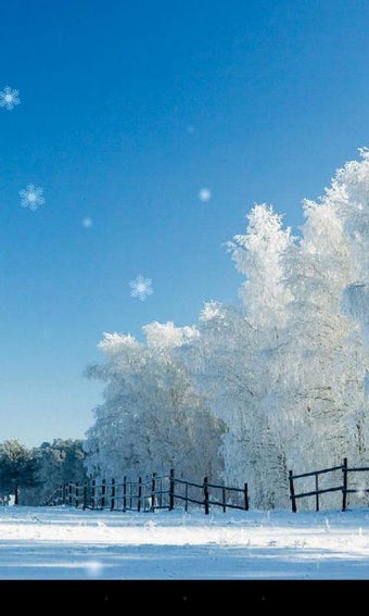 Imagen 2 para Snow Season Live Wallpape…