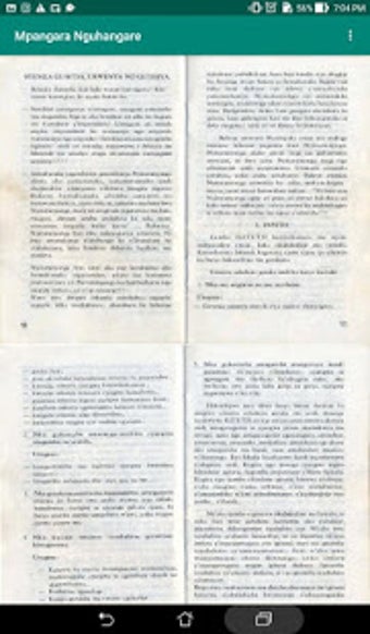 Image 0 for Mpangara Nguhangare