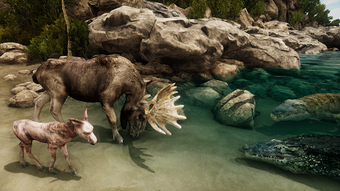 Image 2 for Ultimate Moose Simulator