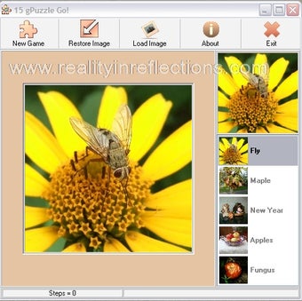 Imagen 0 para 15 gPuzzle Go