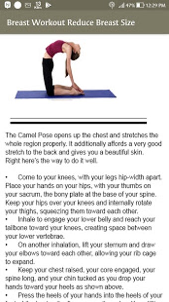 Imagen 0 para Breast Workout Reduce Bre…
