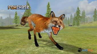 Image 1 for Fox Chase Simulator