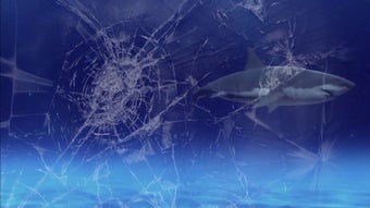 Image 0 for Shark Attack Video Wallpa…