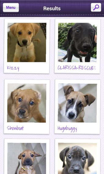 Imagen 1 para Petfinder