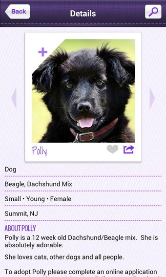 Imagen 0 para Petfinder