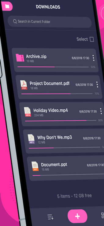 Image 3 for Download Manager