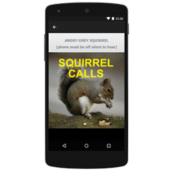 Image 0 for Squirrel Calls for Huntin…