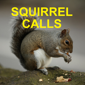 Image 1 for Squirrel Calls for Huntin…