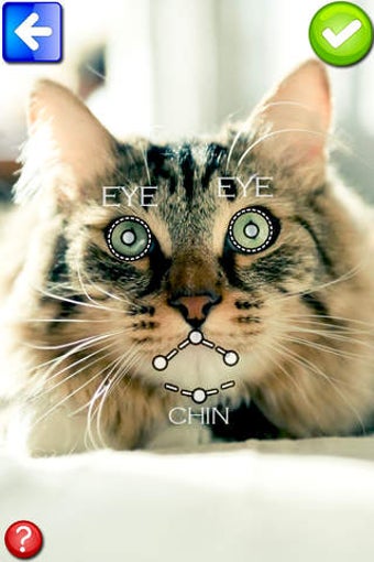 Image 0 for My talking pet:Let's talk…