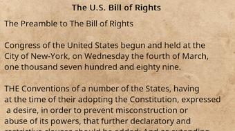 Image 0 for Bill of Rights