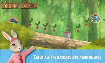Image 1 for Peter Rabbit Birthday Par…