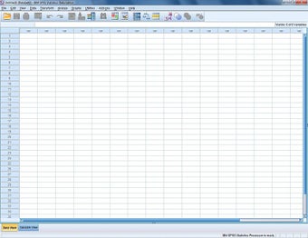 Image 0 for SPSS