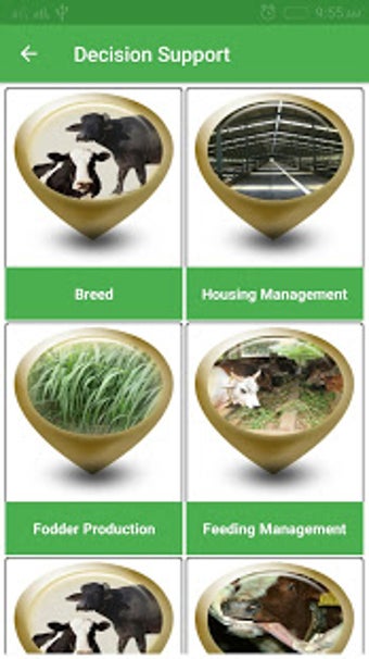 Image 1 for Cattle Expert System