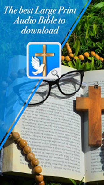 Image 1 for Large Print Bible