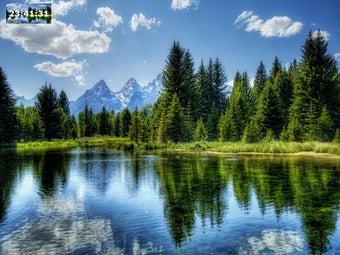 Image 0 for Naturelpics Screensaver