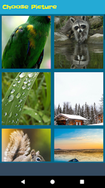 Image 0 for Top Jigsaw Puzzle 1000 Pi…