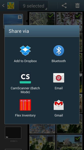 Image 0 for Picture Organizer