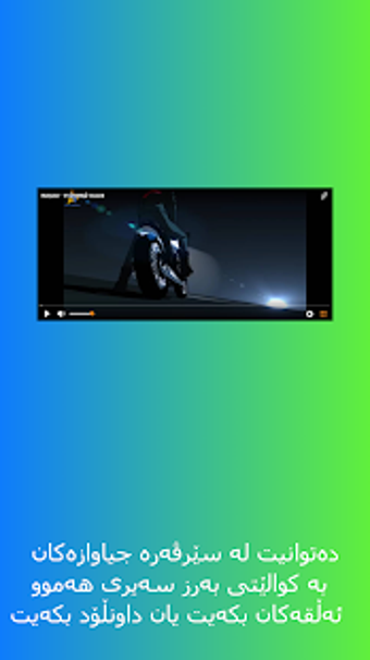 Image 2 for Anime Dolphin