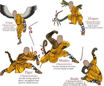 Image 1 for Shaolin kung fu