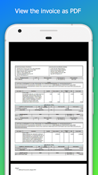 Imagen 3 para E-invoice reader - XML an…