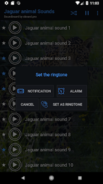 Image 1 for Jaguar (Animal) sounds ~ …