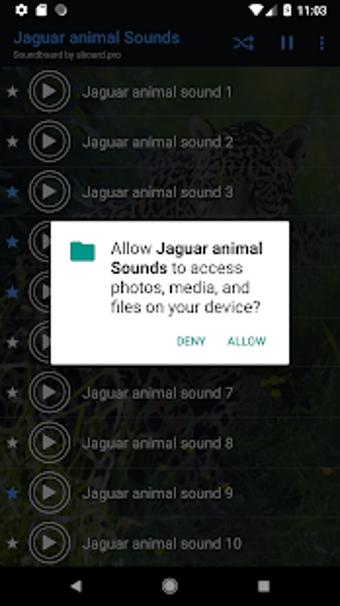 Image 3 for Jaguar (Animal) sounds ~ …
