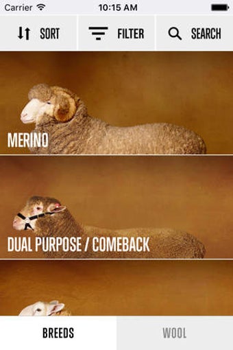 Image 0 for Sheep Breed Compendium by…