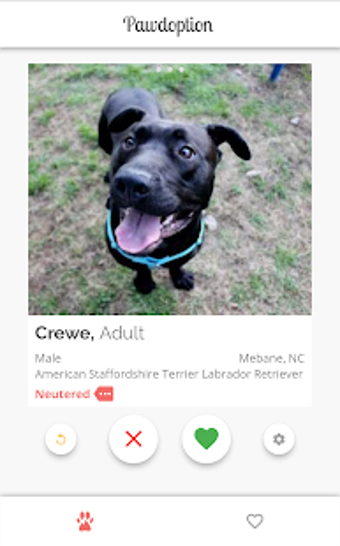 Image 3 for Pawdoption - Pet Adoption