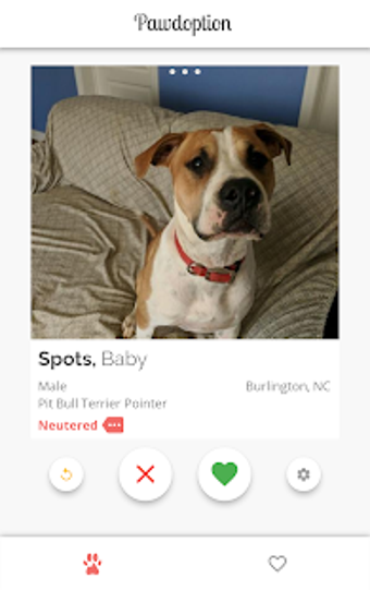 Image 1 for Pawdoption - Pet Adoption