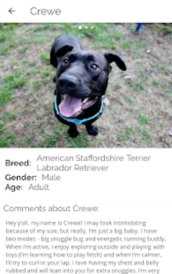 Image 0 for Pawdoption - Pet Adoption