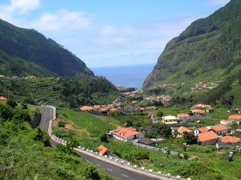 Imagen 0 para Madeira Saver