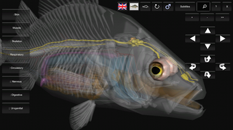 Imagen 2 para 3D Fish Anatomy