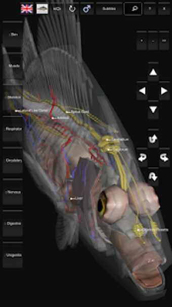 Imagen 1 para 3D Fish Anatomy