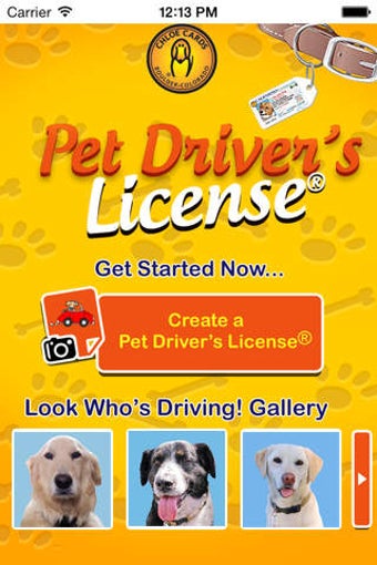 Image 0 for Pet Driver's License