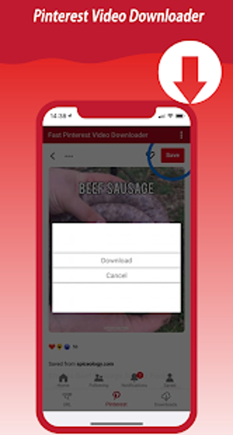 Imagen 3 para Fast Pinterest Video Down…
